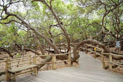 4×4 tour on the South Coast of Natal