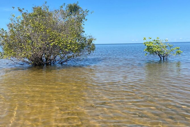 8day expedition of scenic beauty and Amazon traditional culture on Tapajós River - Key things to know before booking