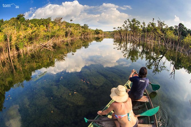 Alter do Chão FLONA Jamaraquá Tour - Five things to know before you go