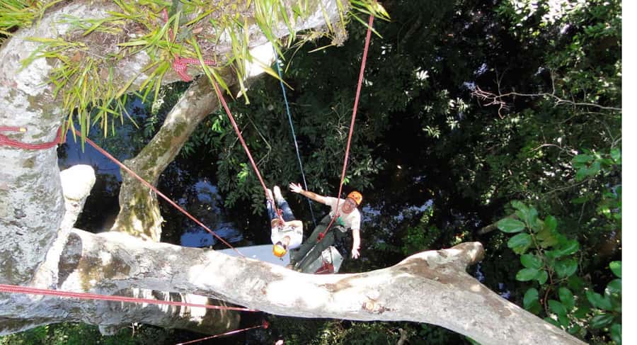 Amazon Jungle 3-Hour Tree Climbing Activity - Key Details Before You Book