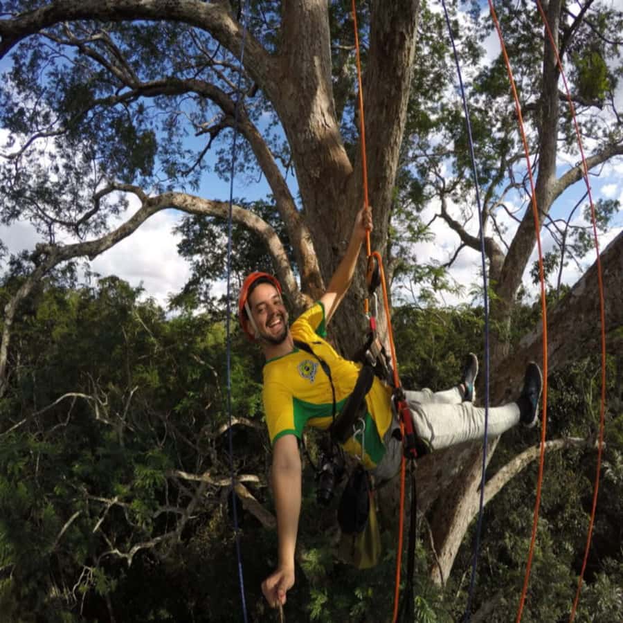 Amazon Jungle 3-Hour Tree Climbing Activity - Climbing Trees More Than 70 Meters High