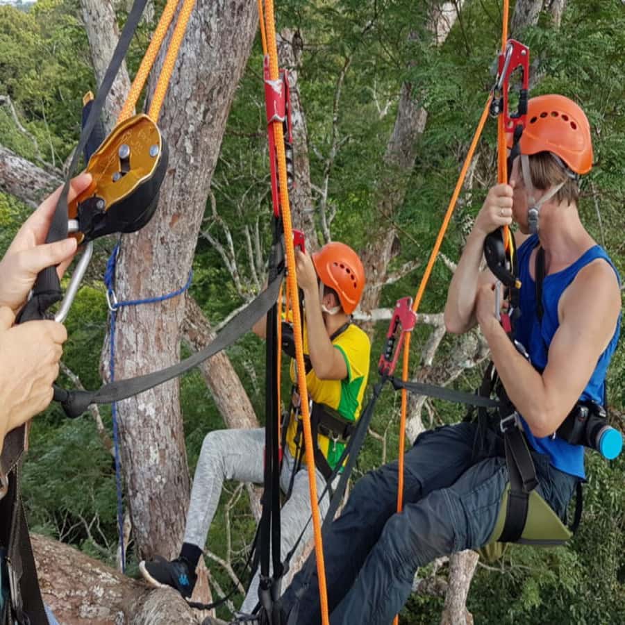 Amazon Jungle 3-Hour Tree Climbing Activity - A Small Group Makes a Difference