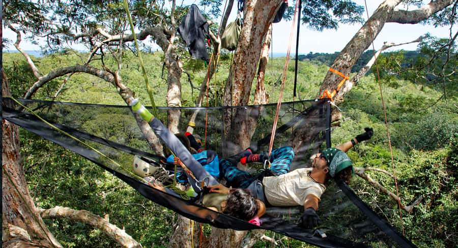 Amazon Jungle 3-Hour Tree Climbing Activity - Preparing for the Climb