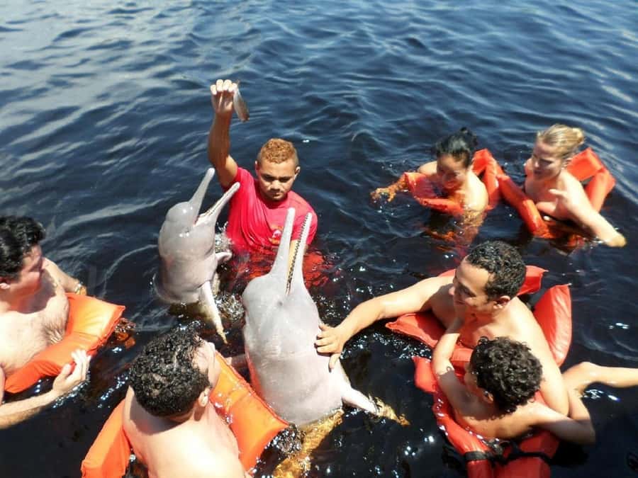 Amazon Safari® Manaus: Day trip on the Amazon River - What the Manaus Amazon Safari actually covers