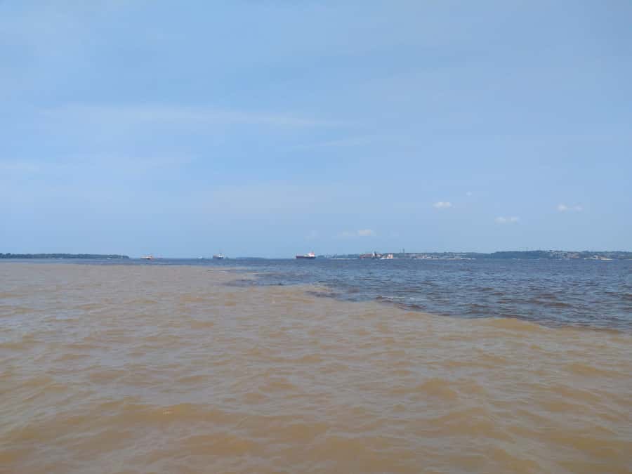 Amazon Safari® Manaus: Day trip on the Amazon River - Janauari Ecological Park and the floating market