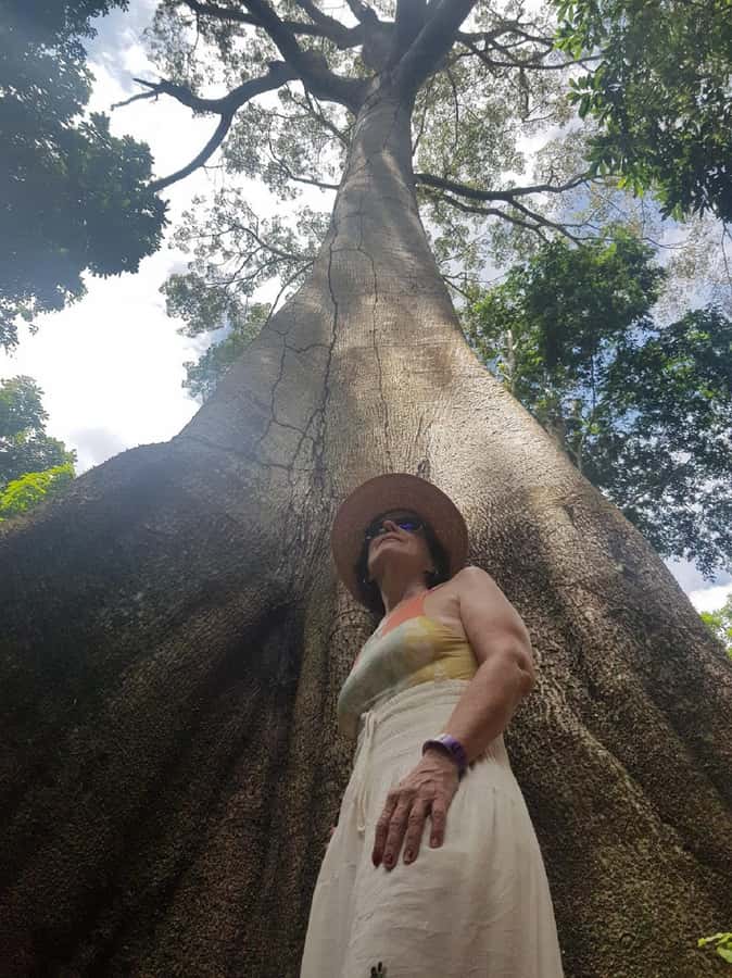 Amazon Safari® Manaus: Day trip on the Amazon River - What to bring and who should book