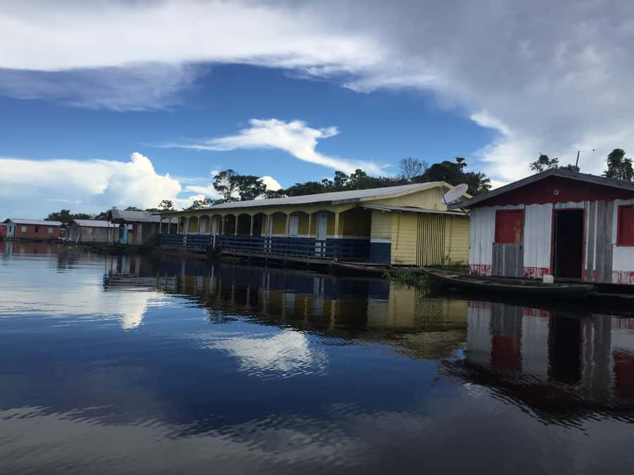 Amazonas: Boat Ride with a Local Amazonian - Giant water lilies and a lake at the forest edge