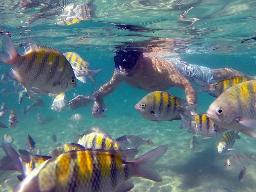 Angra dos Reis and Ilha Grande: Small-Group Fast-Boat Tour - Blue Lagoon and the first swim