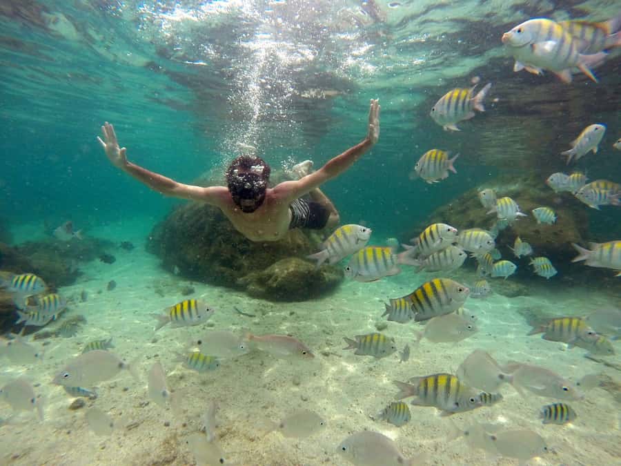 Angra dos Reis and Ilha Grande: Small-Group Fast-Boat Tour - The guide makes the day work