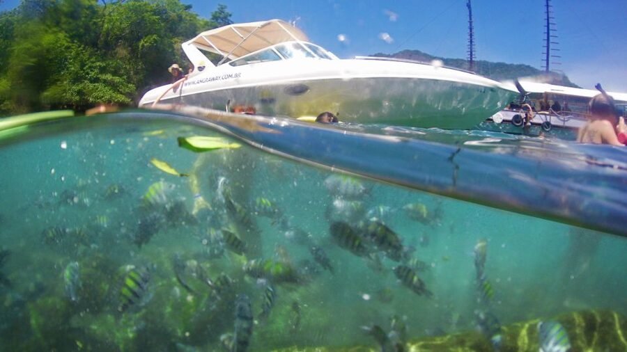 Angra dos Reis: Super Lagoa Azul Speedboat Tour - What the $52 price really buys you