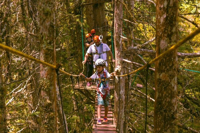 Arborismo in Horto Florestal - Campos Do Jordão - Key points to know before you book
