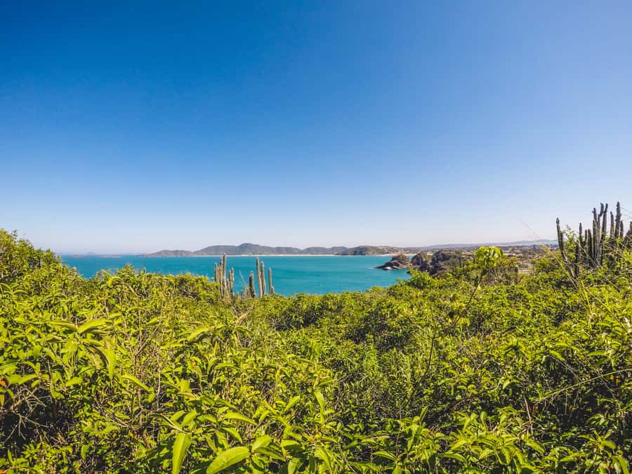 Armação dos Búzios: Walk Through the Natural Pools in Búzios - What the guide adds to the walk