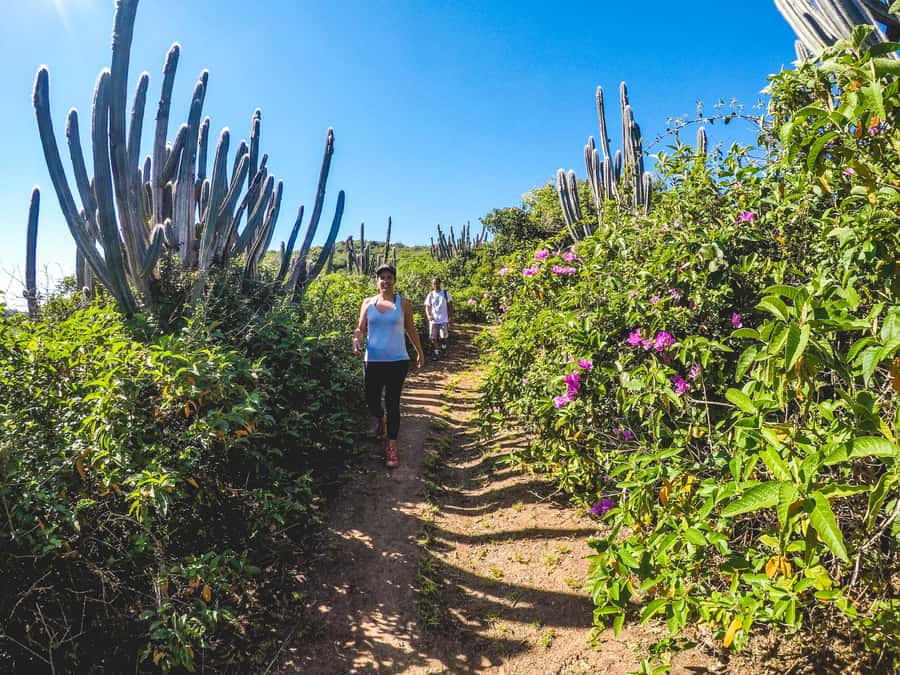 Armação dos Búzios: Walk Through the Natural Pools in Búzios - Is $72 a fair price?