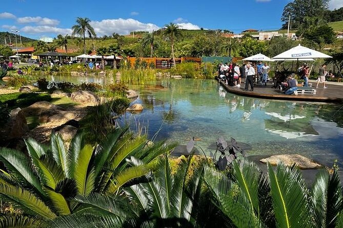 Art Of Wine – Travel Through The So-Called Wine Route Visiting Various Wineries - Wine, Cachaça, Cheese, And Sweets
