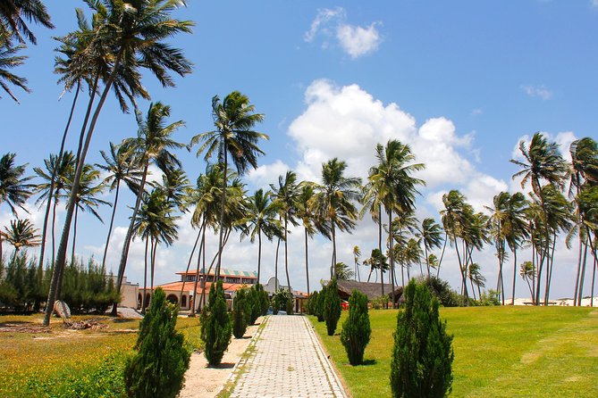 Barra de Punaú Tour - Departing from Natal - Five hours at the Barra de Punaú stop