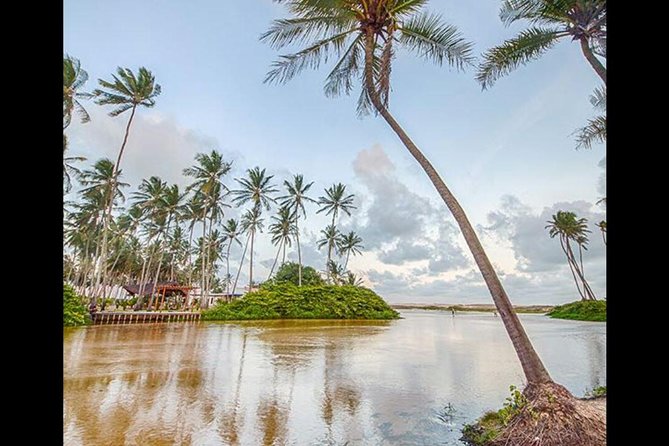 Barra de Punaú Tour - Departing from Natal - Is $20.91 good value?