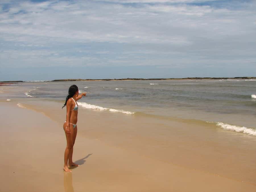 Barra do Cunhaú Full-Day Trip from Natal - Mangroves and crab fishing