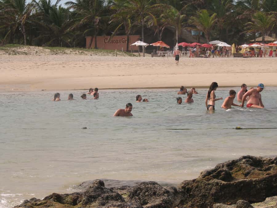 Barra do Cunhaú Full-Day Trip from Natal - Timing, language, and what to pack