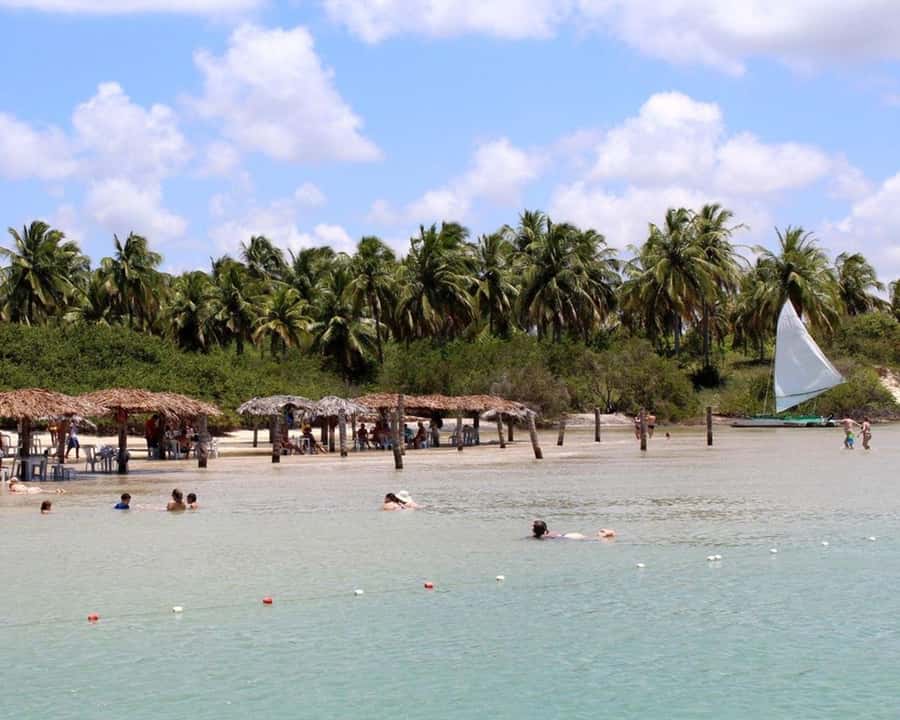 Barra do Cunhaú Full-Day Trip from Natal - Who will enjoy this day trip most