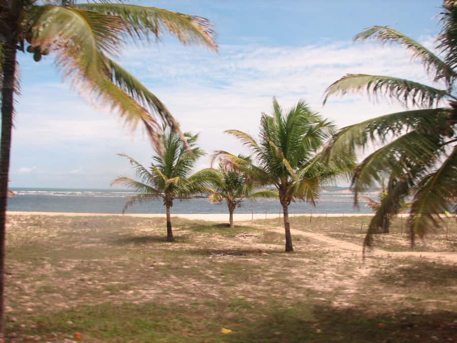 Barra do Cunhaú Full-Day Trip from Natal - Cunhaú Beach, where river meets sea