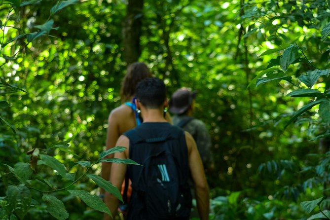 Bathing in the Forest Trail in Foz do Iguaçu - Canafístula Trail: nature at a slower pace