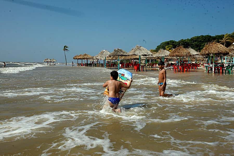 Belém: 2, 3 or 4-Day Marajó Island Excursion with Lodging - What to pack and who should skip it