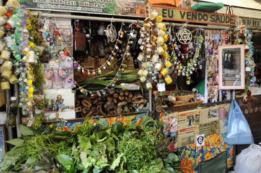 Belém: Half-Day City Tour with Ver-o-Peso Market Visit - Why this half-day tour works in Belém
