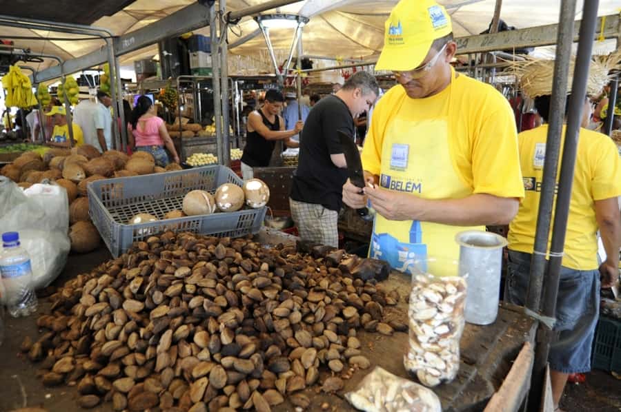 Belém: Half-Day City Tour with Ver-o-Peso Market Visit - República Square, Paz Theater, and the wider city view