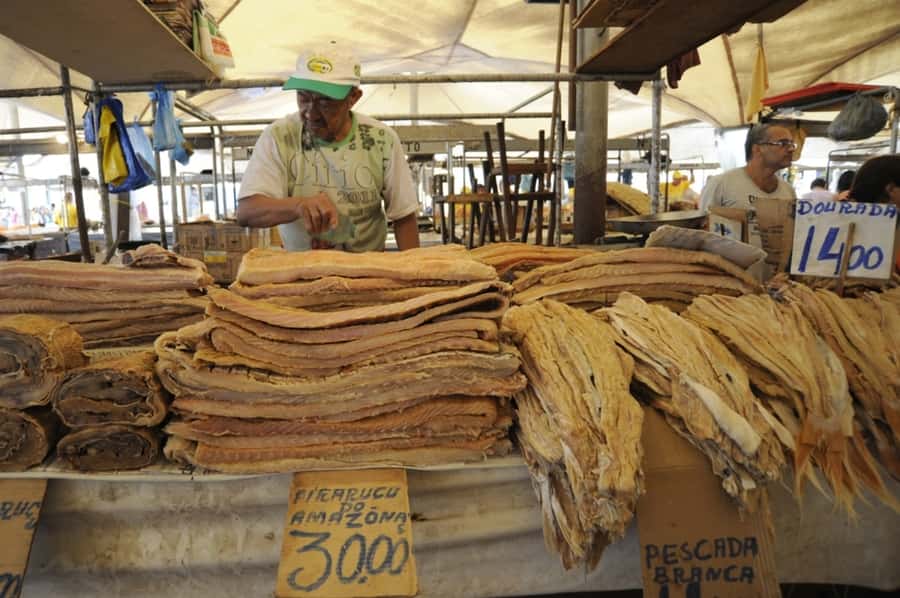 Belém: Half-Day City Tour with Ver-o-Peso Market Visit - Starting with Ver-o-Peso Market beside Guajará Bay