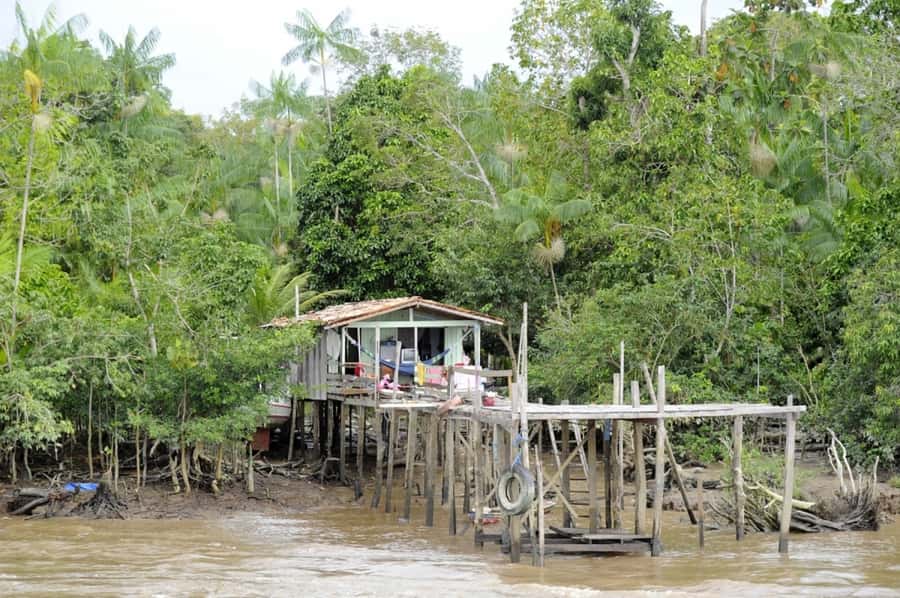 Belém: Half-Day Furos Boat Tour & Riverside Community Visit - Around Combú Island and through two furos