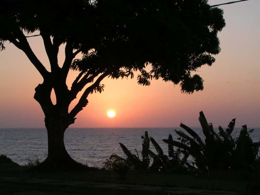 Belém: Ilha do Mosqueiro River Beach Trip - Midday: your first real chance to swim