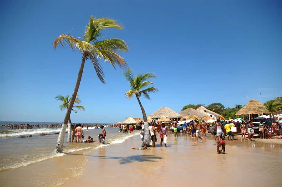Belém: Marajó Island Day Trip with Buffalo Farm Visit - Why Marajó Island makes a worthwhile day trip
