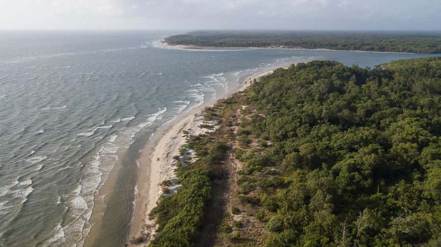Belém: Marajó Island Day Trip with Buffalo Farm Visit - Choosing Soure: buffalo, crafts, and Pesqueiro Beach