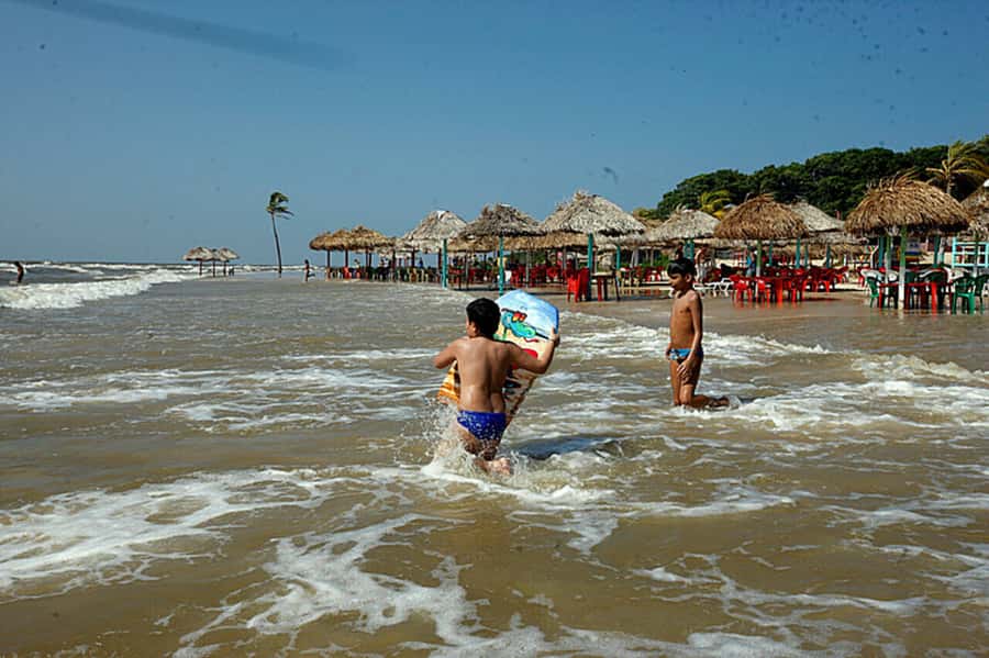 Belém: Marajó Island Day Trip with Buffalo Farm Visit - The long return to Belém