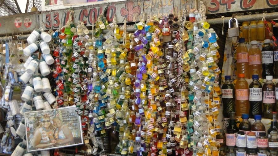 Belém: Ver-o-Peso Market and Full-Day City Tour with Lunch - Who will enjoy this day most?