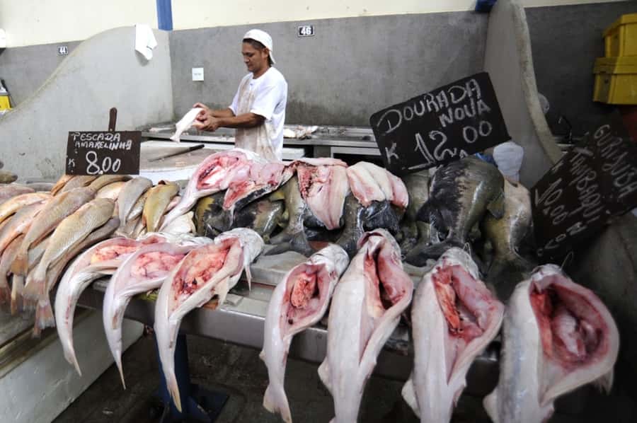Belém: Ver-o-Peso Market and Full-Day City Tour with Lunch - Ver-o-Peso: Belém’s market in the morning