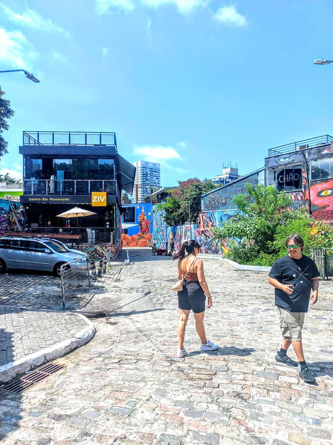 Best São Paulo City Tour History 5Hours Private Experience. - A calmer pause at Ibirapuera Park