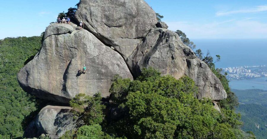 Bico do Papagaio Guided Hiking Tour in the Tijuca Forest - Reaching Tijuca Forest From Alto da Boa Vista