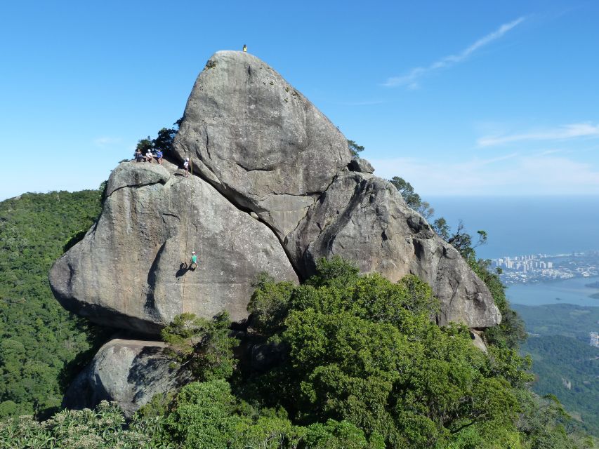 Bico do Papagaio Guided Hiking Tour in the Tijuca Forest - The Museum Adds Context Before Or After The Hike