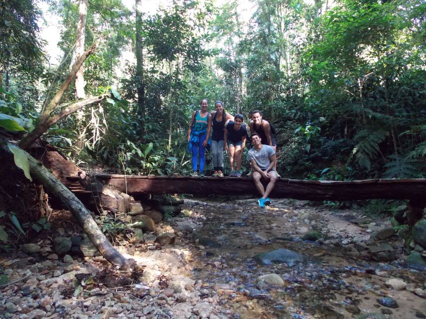 Bico do Papagaio Guided Hiking Tour in the Tijuca Forest - Who Will Enjoy This Rio Hiking Tour