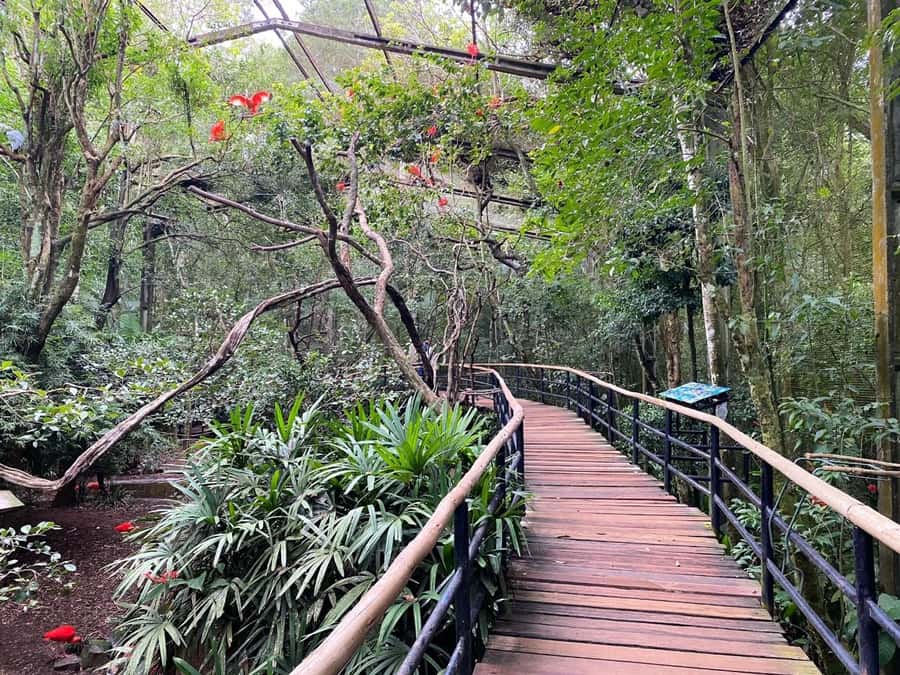 Brazilian Falls, Bird Park and Itaipu Dam - What the $160 price really includes