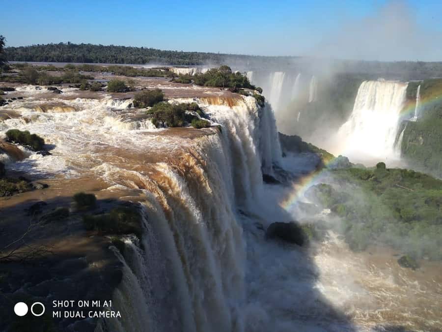 Brazilian Falls, Bird Park and Itaipu Dam - Who will enjoy this day most