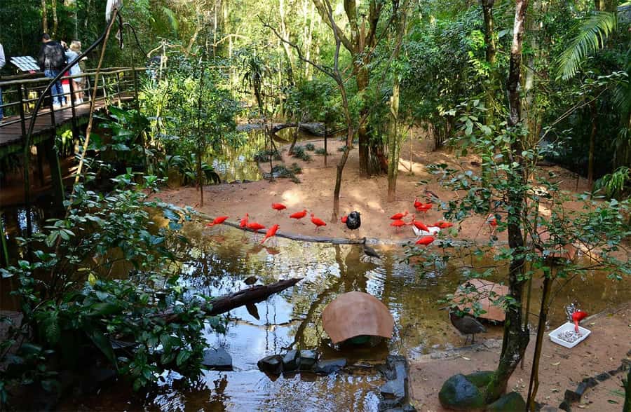 Brazilian Falls, Bird Park and Itaipu Dam - What to bring and what to expect