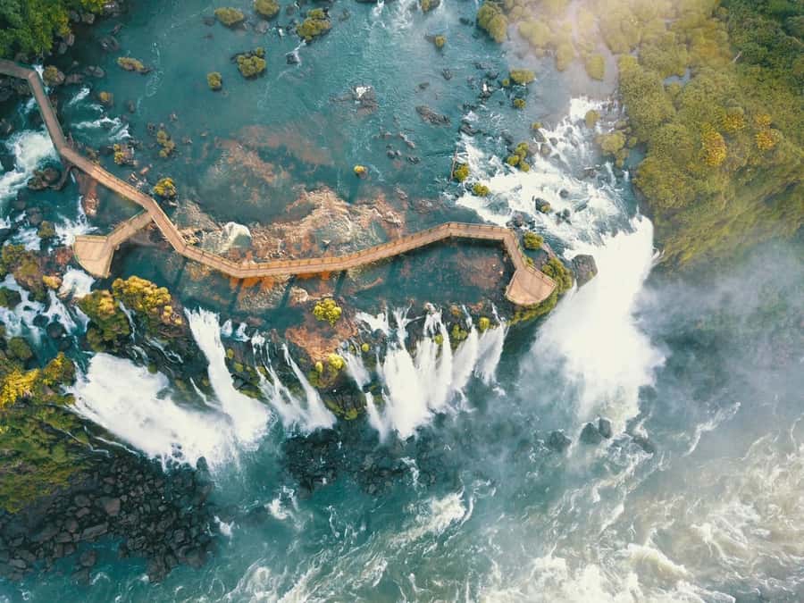 Brazilian Iguassu Falls,Bird park Boat Safari all tickets - What your guide actually adds