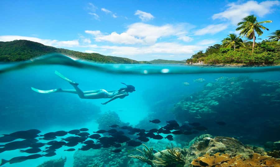 Buzios - DIVING EXPERIENCE - Key points to know before booking