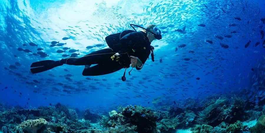 Buzios - DIVING EXPERIENCE - Why João Fernandinho is the right setting