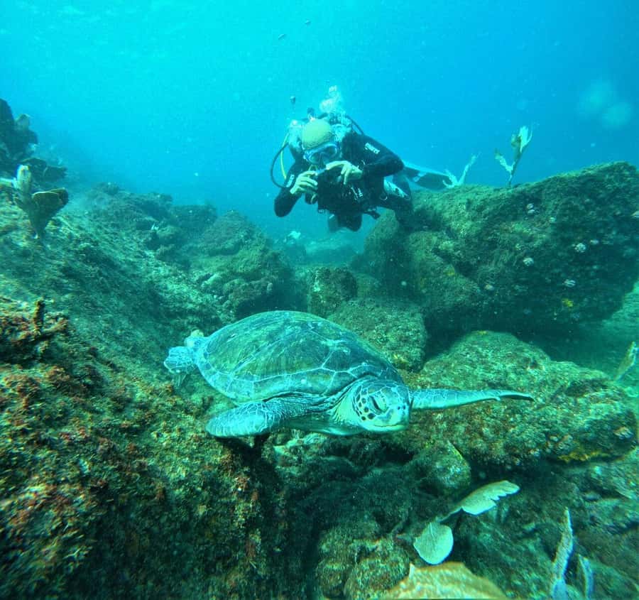 Buzios - DIVING EXPERIENCE - The 1.5-hour lesson and water adjustment