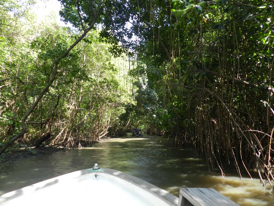 Caburé - Boat tour on the Rio Preguiças - Vassouras and the Small Lençóis