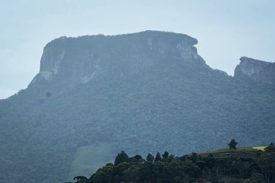 Campos do Jordão: Full-Day Private Tour from São Paulo - Morro do Elefante and the cable car decision
