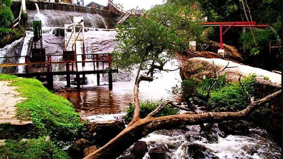 Campos do Jordão: Private 8 Hour Tour - What the $243 price really buys you